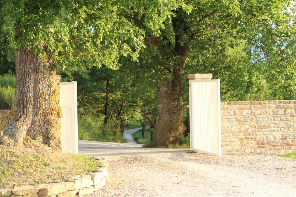 Amico Country House Serra San Quirico Екстер'єр фото