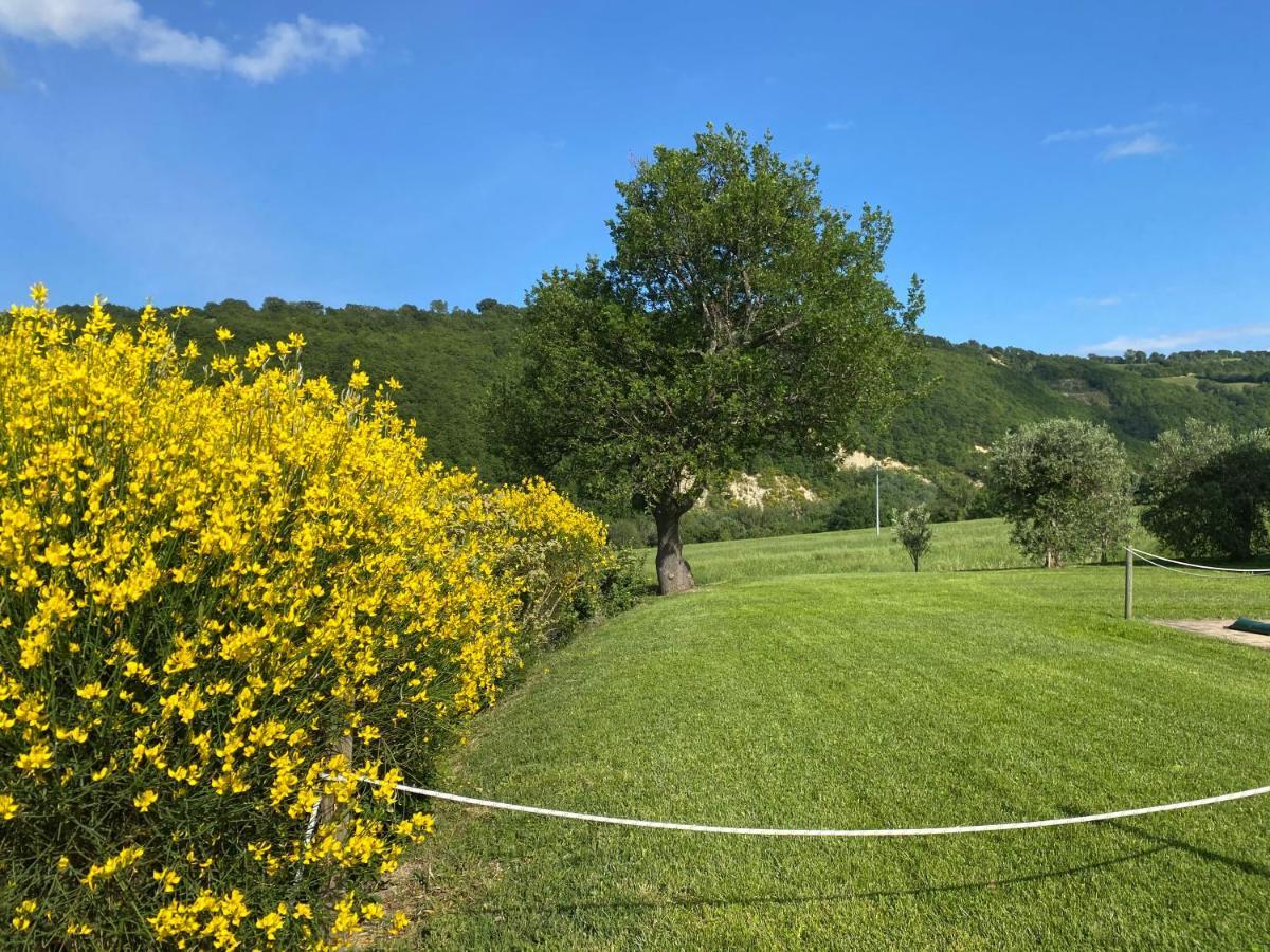 Amico Country House Serra San Quirico Екстер'єр фото