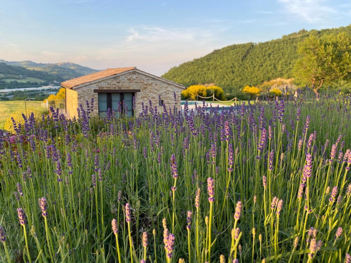 Amico Country House Serra San Quirico Екстер'єр фото