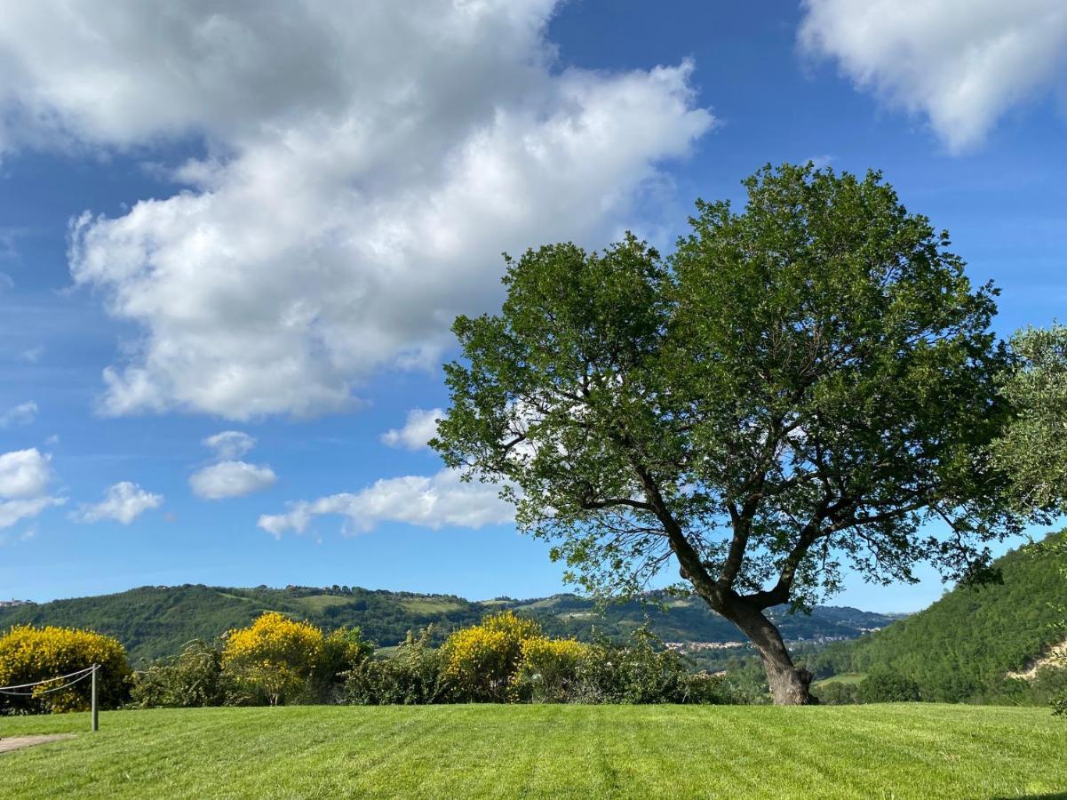 Amico Country House Serra San Quirico Екстер'єр фото